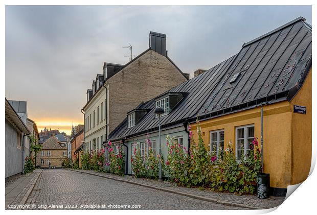 picturesque alley with  hollyhocks in the sunset in Lund Print by Stig Alenäs