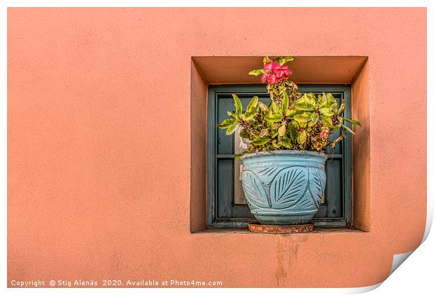blue flower pot on an orange wall with a blooming  Print by Stig Alenäs