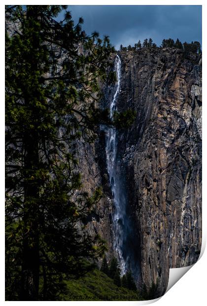 Yosemite Print by Erin Bolas