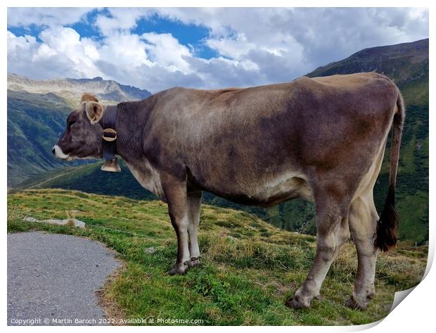 Swiss Alpine cow Print by Martin Baroch