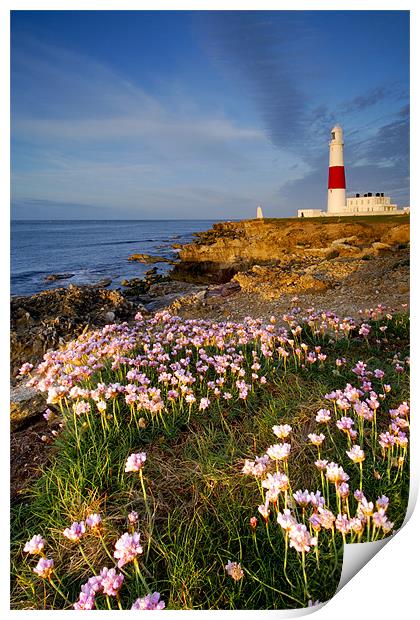 Springtime at Portland Bill  Print by Thomas Dobner