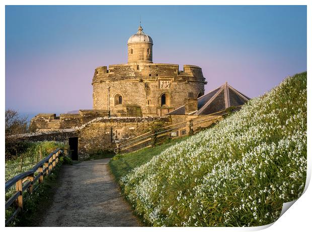  St Mawes Castle in South Cornwall  Print by Mick Blakey