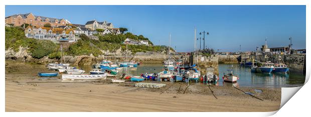 Newquay Harbour  Print by Mick Blakey