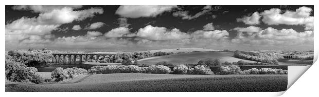 Lynher & Tiddy Viaducts, Cornwall,  Print by Mick Blakey