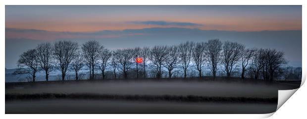 Moorland Tree Silhouettes, Dartmoor, Devon Print by Mick Blakey