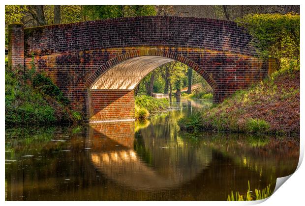 Bridge over Wey and Arun Canal Print by Mark Jones