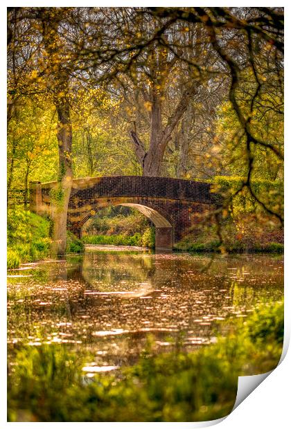 Canal in Golden Light Print by Mark Jones