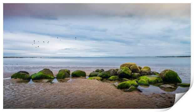 Rocks, Alnmouth Beach Print by Mark Jones