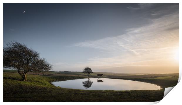 Dew Pond with Cow and Moon Print by Mark Jones
