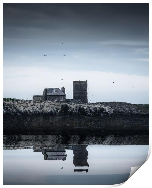 Old Lighthouse and Keepers' Cottage, Brownsman Isl Print by Mark Jones