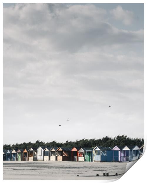 Beach Huts, West Wittering Print by Mark Jones