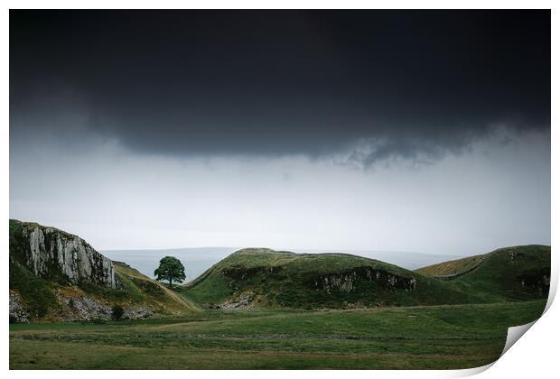 Sycamore Gap from the North Print by Mark Jones