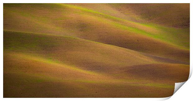 Colorful Tuscany in Italy - the typical landscape and rural fiel Print by Erik Lattwein