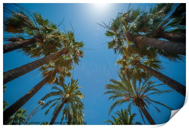 Palm Trees against a blue sky perfect holiday feeling Print by Erik Lattwein