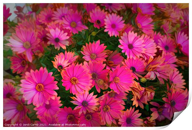 Dance of Daisies at Sunset - CR2105-5278-PIN-R Print by Jordi Carrio
