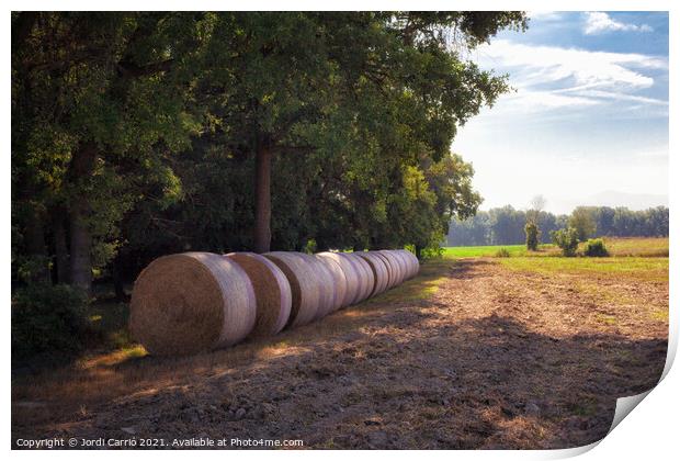 Row of straw bales - Orton glow Edition  Print by Jordi Carrio