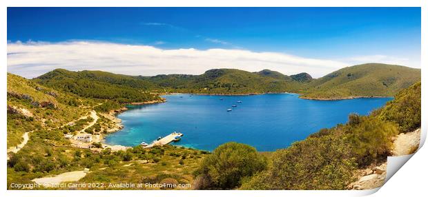 Panoramic of the Port of Cabrera - CR2204-7335-GLA Print by Jordi Carrio