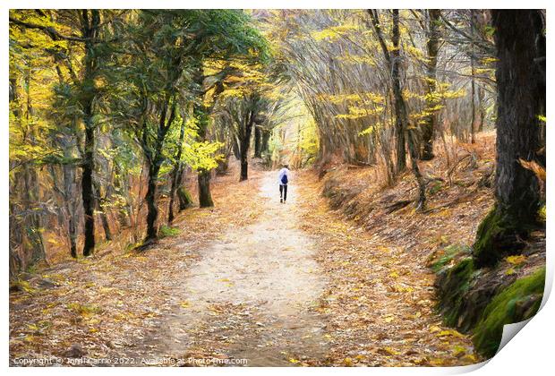 Autumn walk through Montseny - CR2211-8333-OIL Print by Jordi Carrio