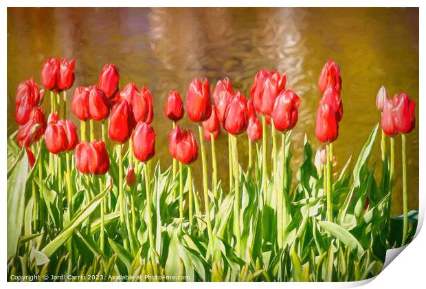 The scarlet splendor of the tulip - CR2305-9183-OI Print by Jordi Carrio