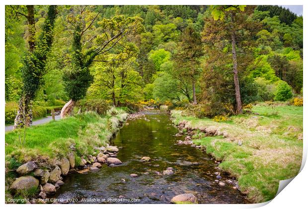 View to Glendalough National Park, Ireland Print by Jordi Carrio