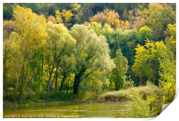 Autumn landscapes in the river Ter. Osona, Catalon Print by Jordi Carrio