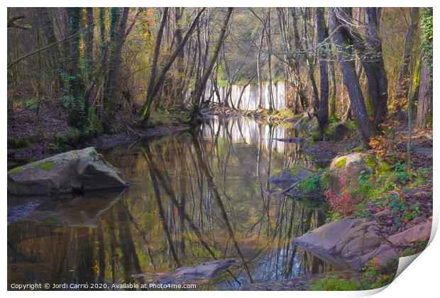 Reflections in the river in the middle of autumn Print by Jordi Carrio