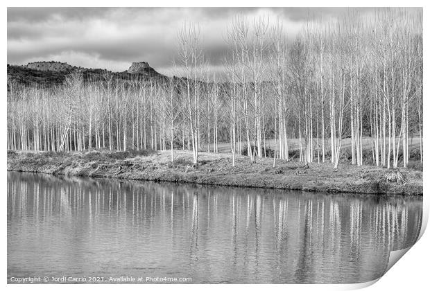 Reflections of the Ter in Torelló - CR2012-4189-BW Print by Jordi Carrio
