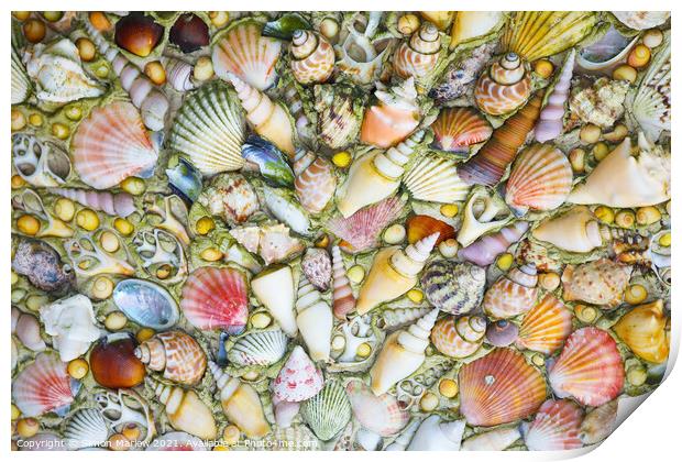 Oceans Treasures Print by Simon Marlow