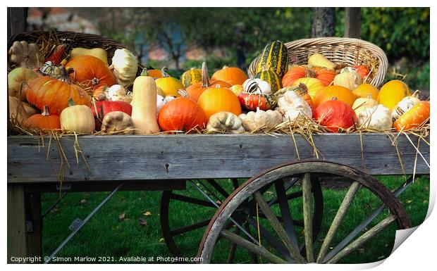 Autumn Squashes and Pumpkins Print by Simon Marlow
