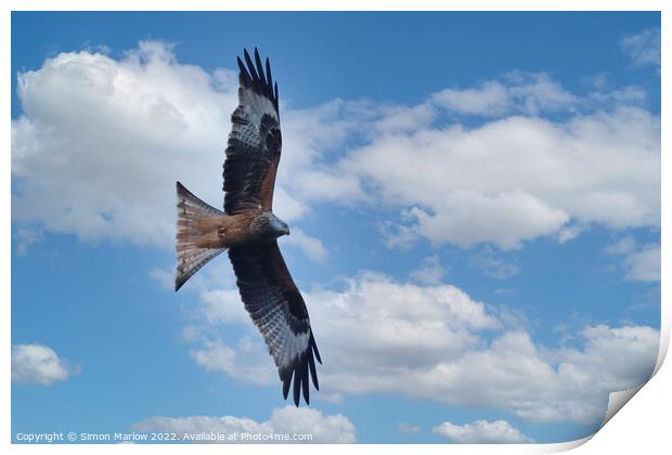 Graceful Red Kite Takes Flight Print by Simon Marlow