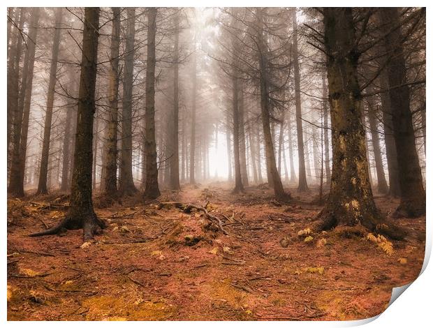 Cold Autumn Forest Scene at Bury Ditches Print by Simon Marlow