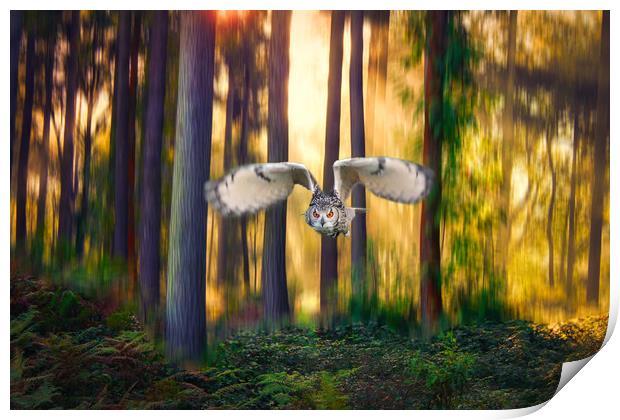 Majestic flight of the European Eagle Owl Print by Simon Marlow
