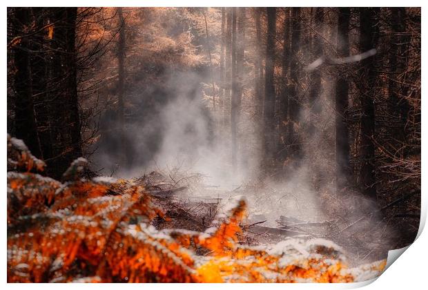 Enchanting Autumn Forest Scene Print by Simon Marlow
