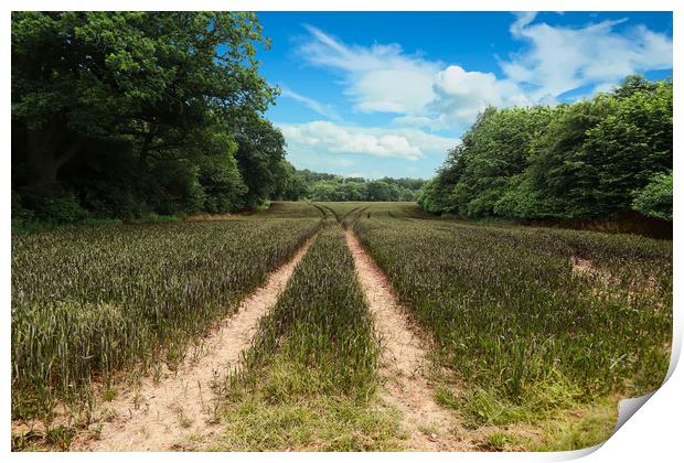 Harmonious Harvest Print by Simon Marlow