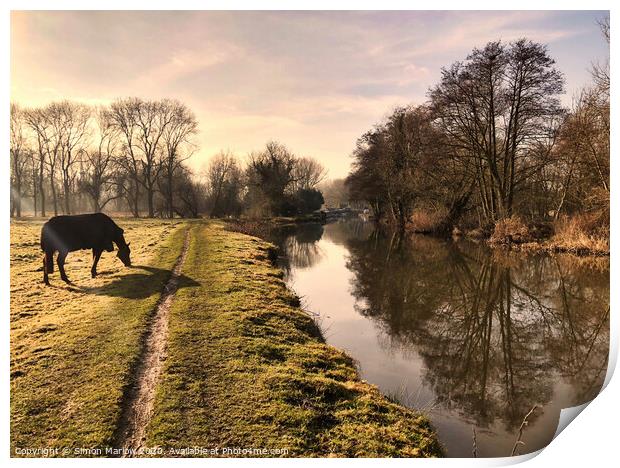 Majestic Horses in a Scenic Countryside Print by Simon Marlow