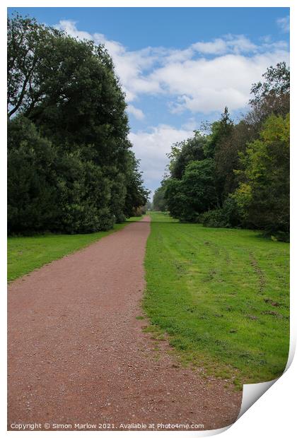 Westonbirt Arboretum Print by Simon Marlow