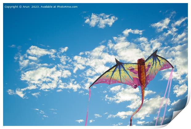 Kite Festival Print by Arun 