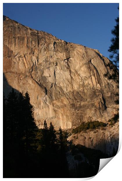 Yosemite national park California Print by Arun 