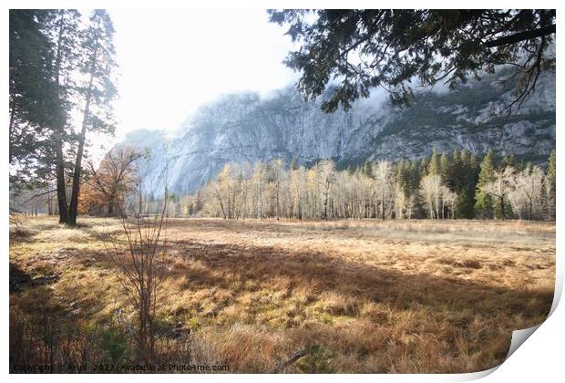 Yosemite national park in the fall Print by Arun 