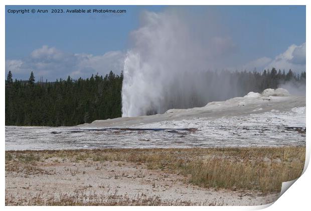 Old faithful geyser at Yellowstone national park in Wyoming USA Print by Arun 