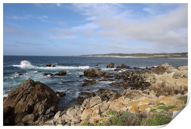 17 mile drive in Pebble beach, Monterey, California Print by Arun 