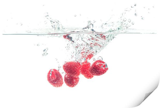 Raspberries splashing in water on white Print by Przemek Iciak