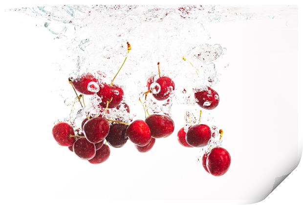 Red cherries splashing into crystal clear water with air bubbles. Isolated on a white background. Print by Przemek Iciak