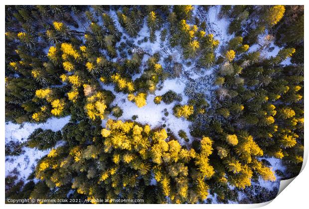 Winter forest aerial view from above during sunset Print by Przemek Iciak