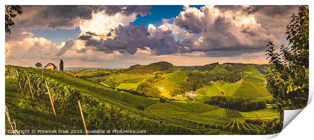 Vineyards in Austria panorama, famous destination with wine road in south Styria. Wine country in summer. Tourist destination. Print by Przemek Iciak