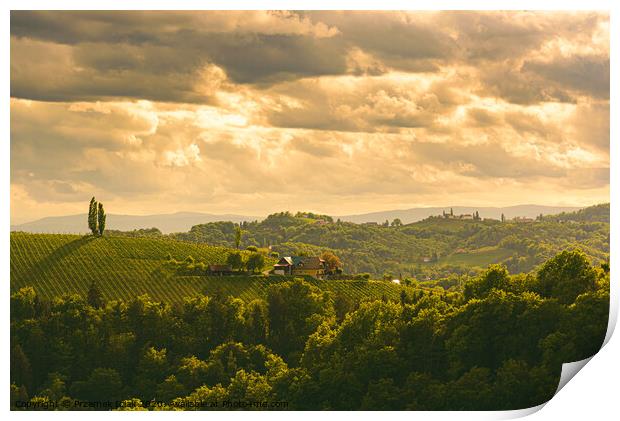 Gamlitz town in Austria Vineyards in Sulztal area south Styria, famous wine country. Print by Przemek Iciak
