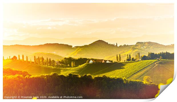 South styria vineyards landscape, near Gamlitz, Austria, Eckberg, Europe. Grape hills view from wine road in spring. Tourist destination, panorama Print by Przemek Iciak