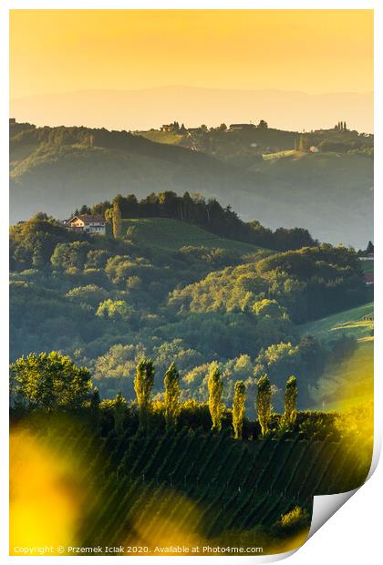 South styria vineyards landscape, near Gamlitz, Austria, Eckberg, Europe. Grape hills view from wine road in spring. Tourist destination, vertical photo Print by Przemek Iciak
