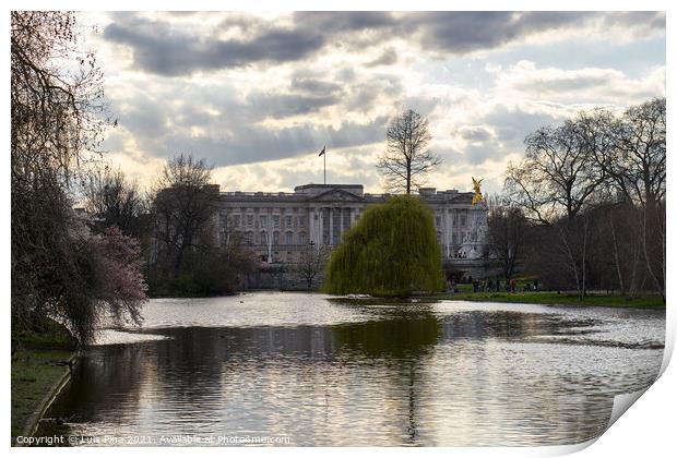 Buckingham Palace and St James Park in London, England Print by Luis Pina