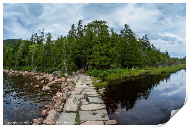 From hiking around Jordan Pond in Summer day Print by Miro V